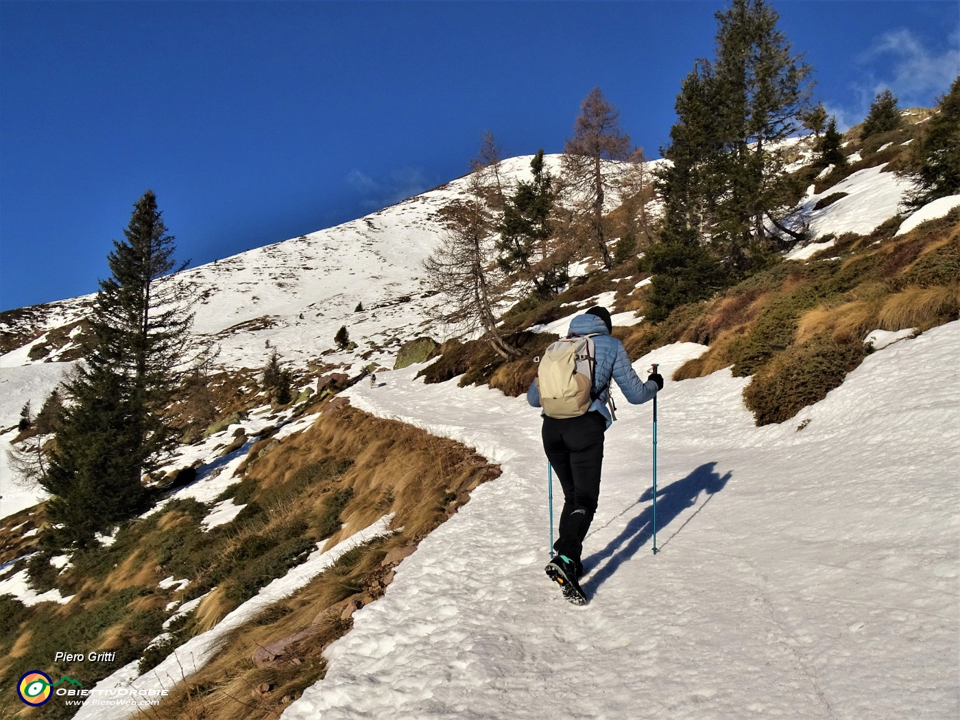 23 Tratto comodo in lieve salita con neve ben battuta.JPG